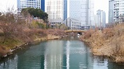 suwon stream