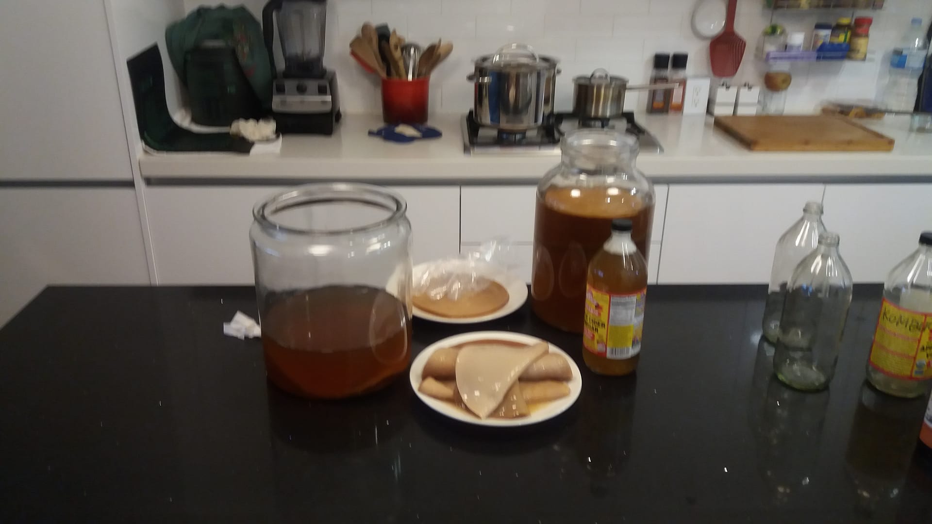 Growing Kombucha and Kefir in Korea
