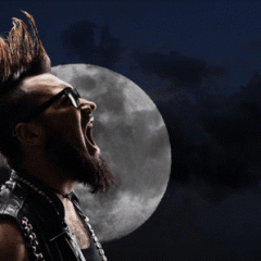 Howling at the Moon