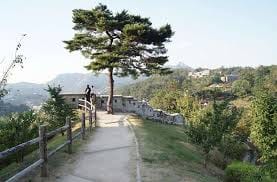 Korean Peace Corps Memories