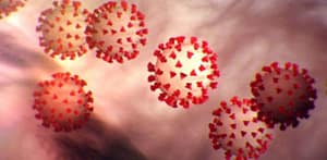 Coronavirus