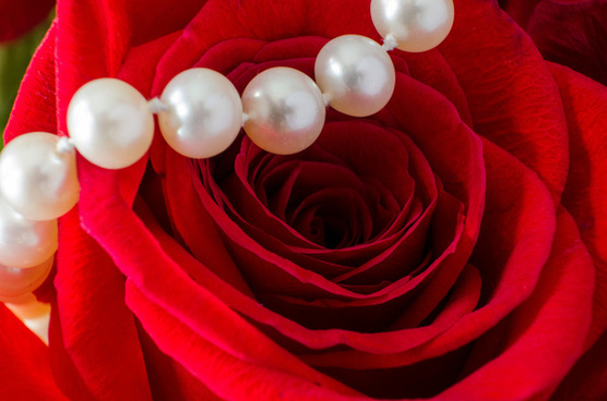 pearls and roses
