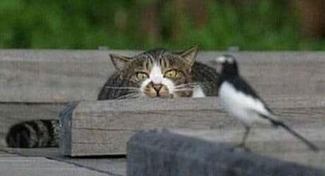 Meeting God in a Lake